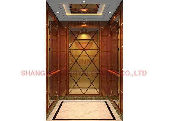 500mm Pit Depth Residential Home Elevators de Liftlift van de Luxevilla