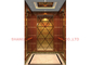 500mm Pit Depth Residential Home Elevators de Liftlift van de Luxevilla