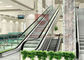 1000mm Metro 2 Cascade 0.5m Schroeftype van de Winkelcomplexroltrap Lift