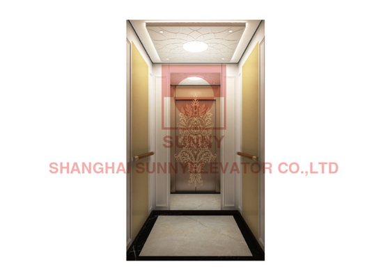 De Lift van steelbandrose gold mirror modern residential, de Lift van het Lifthuis