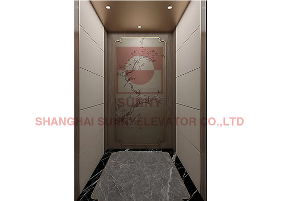 380V/220V Spanning Machine Room Less Passenger Lift Residential Lift Mrl