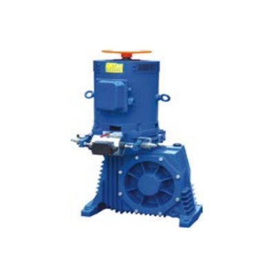 AC220V Remmen Roltrapaandrijving E-Drive Momentum en GlideStream Drive