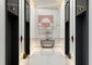 FUJI-de Lift van de Passagierslift met Persoon 6 voor de Passagier van China heft Fabriek op