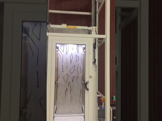 Roestvrij staal 304 Woon de Passagierslift van 3.0m/S met Marble/PVC