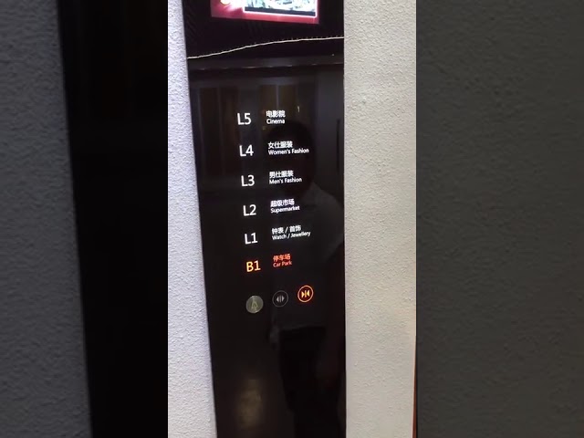 Pvc die van de Vvvfcontrole Panoramische Lift met Machinezaal vloeren