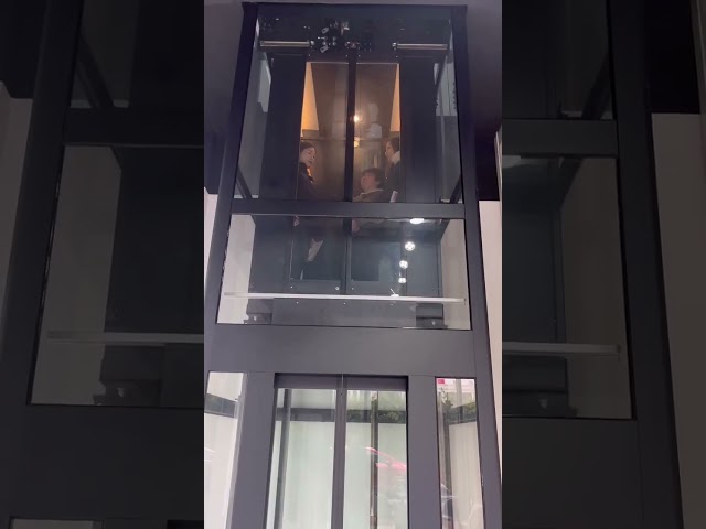 0.4m/S de stabiele van de het Huislift van de Prestaties Kleine Villa Structuur van het de Liftroestvrije staal